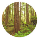 Alaskan Temperate Rainforest Classic Round Sticker
