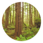 Alaskan Temperate Rainforest Classic Round Sticker