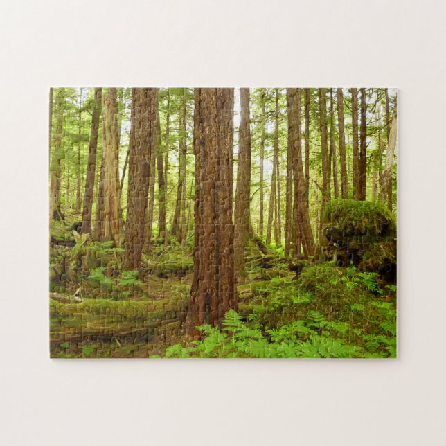 Alaskan Temperate Rainforest Jigsaw Puzzle (Horizontal)