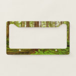 Alaskan Temperate Rainforest License Plate Frame