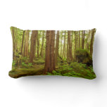 Alaskan Temperate Rainforest Lumbar Pillow