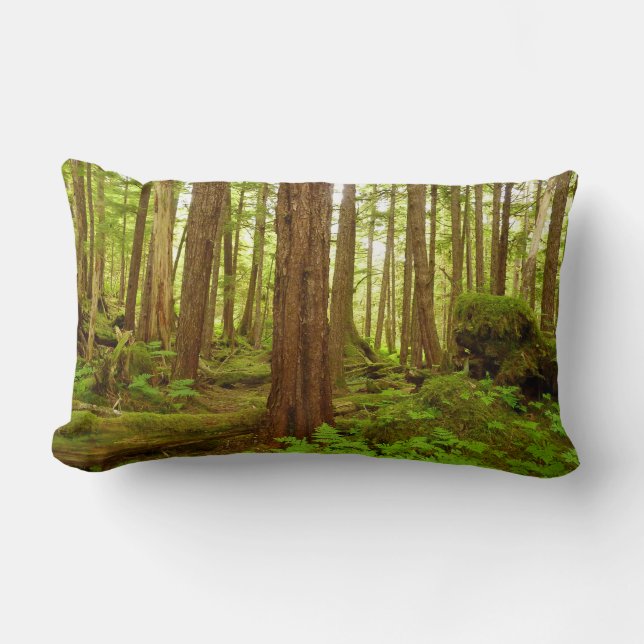 Alaskan Temperate Rainforest Lumbar Pillow (Front)