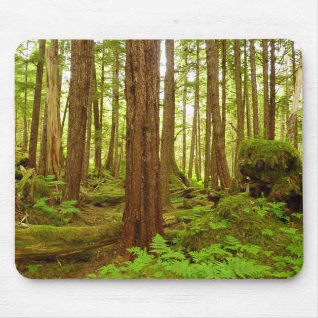 Alaskan Temperate Rainforest Mouse Pad (Front)