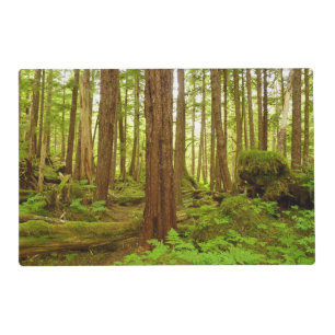 Alaskan Temperate Rainforest Placemat
