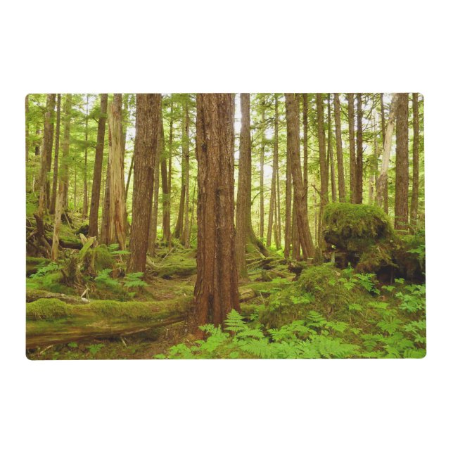 Alaskan Temperate Rainforest Placemat (Front)