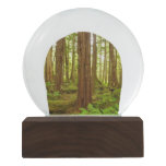 Alaskan Temperate Rainforest Snow Globe