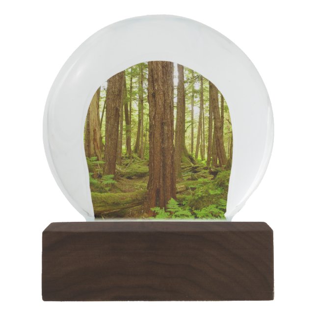 Alaskan Temperate Rainforest Snow Globe (Front)