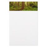 Alaskan Temperate Rainforest Stationery