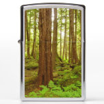 Alaskan Temperate Rainforest Zippo Lighter