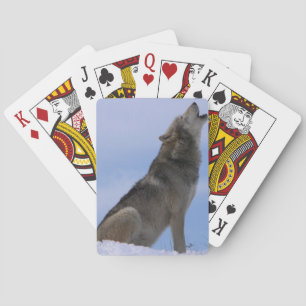 Alaskan Timber Wolf Poker Cards