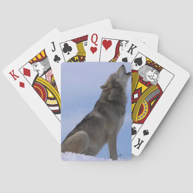 Alaskan Timber Wolf Poker Cards (Back)