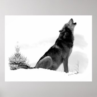 Alaskan Timber Wolf Poster | Zazzle