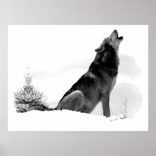 Alaskan Timber Wolf Poster