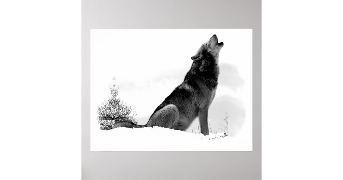 Alaskan Timber Wolf Poster | Zazzle