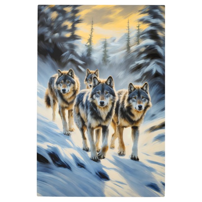 Alaskan Wild Wolf Pack Metal Print (Front)