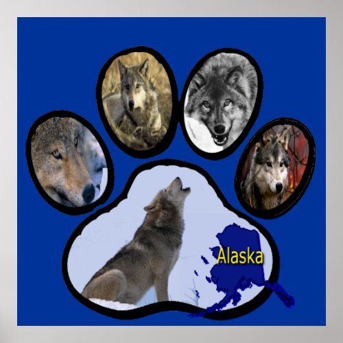 Alaskan Wolf Paw Print