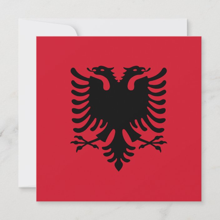 Albania Flag Invitation Zazzle Com   Albania Flag Invitation R3e4e8a7e51614d9f8d504a4bccbc7120 Tcvtr 704 