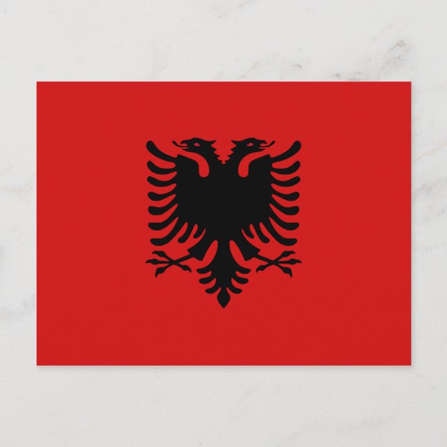 Albania Flag Postcard (Front)