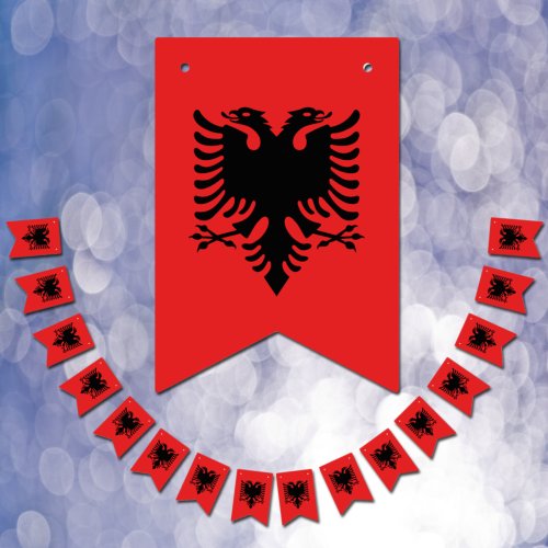 Albanian Flag  Party Albania Banners  Weddings