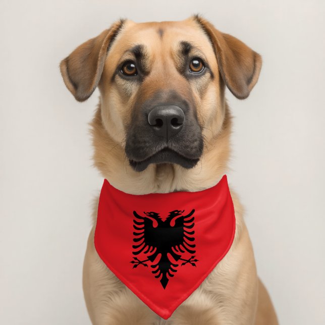 Albanian flag pet bandana collar (Dog 2)