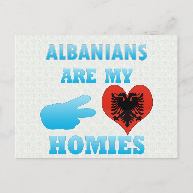 Albanians are my Homies Postcard (Front)