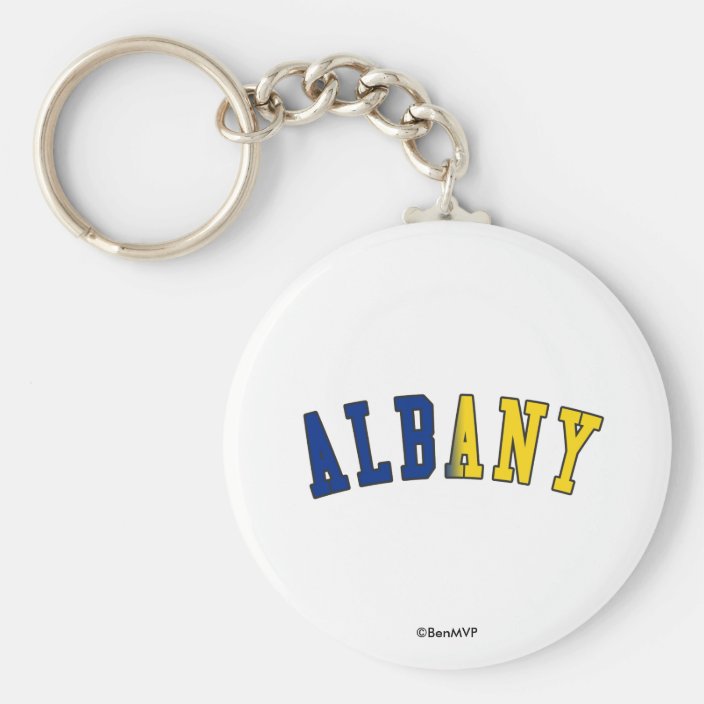 Albany in New York State Flag Colors Key Chain