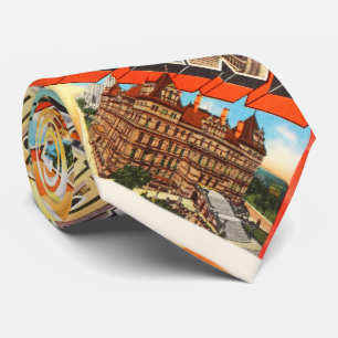 Albany New York NY Old Vintage Travel Souvenir Neck Tie