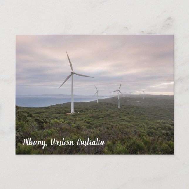 Albany Windfarm, Western Australia, Postcard (Front)