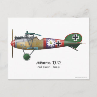 Albatros D.V. ww1 German Fighter Plane Bäumer Postcard