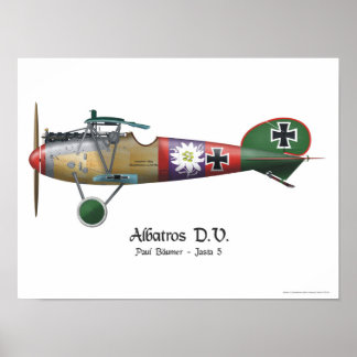 Albatros D.V. ww1 German Fighter Plane Bäumer Poster
