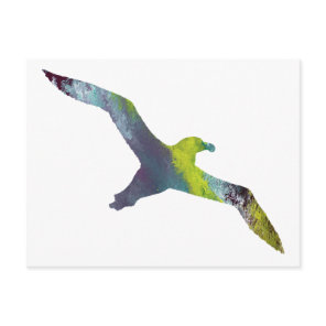 Albatross Animal silhouette Postcard