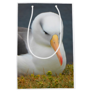Albatross Bird off the coast of New Zealand Medium Gift Bag