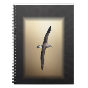 Albatross Bird off the coast of New Zealand Notebook