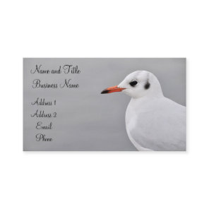 Albatross Business/Profile Card
