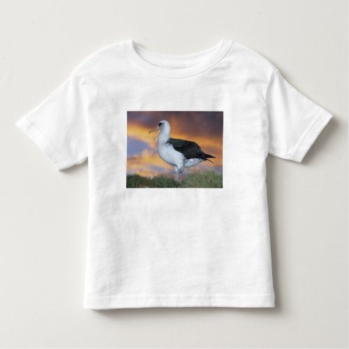 Albatross Laysan Diomedea immutabilis USA Toddler T_shirt