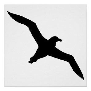 Albatross Poster