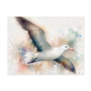 Albatross Watercolor Postcard