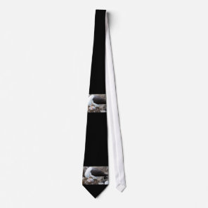 Albatross with a chick neck tie