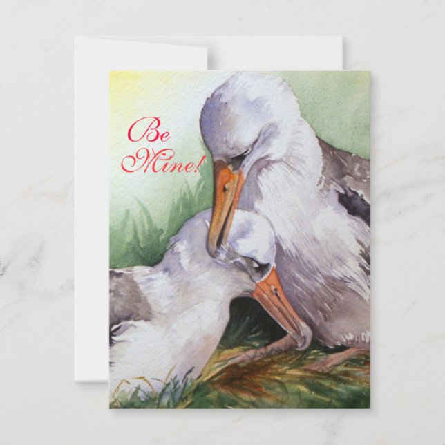 Albatrosses in Love Valentine Day Card (Front)