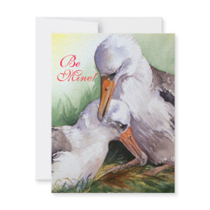 Albatrosses in Love Valentine Day Card