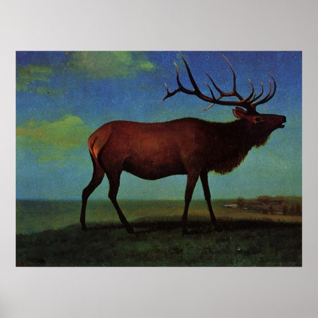 Albert Bierstadt, Elk Poster (Front)