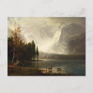 Albert Bierstadt Estes Park Colorado Whyte's Lake Postcard