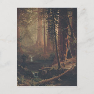 Albert Bierstadt Giant Redwood Trees of California Postcard