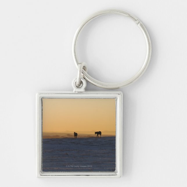 Alberta, Canada 3 Keychain (Front)