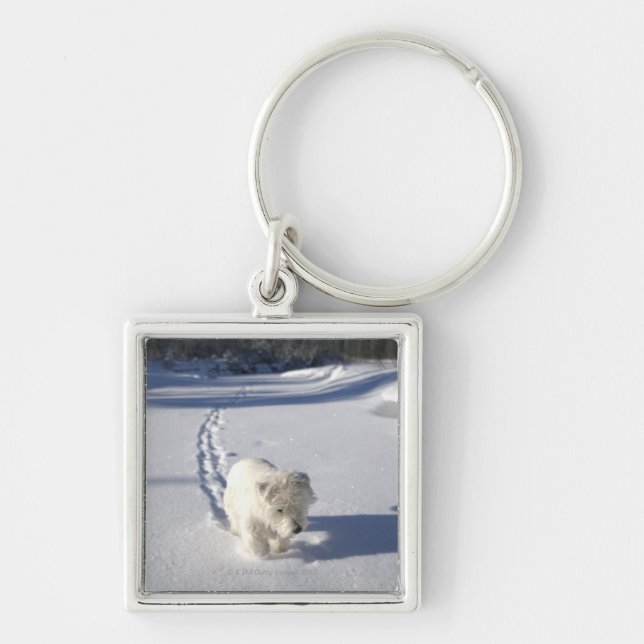 Alberta, Canada Keychain (Front)