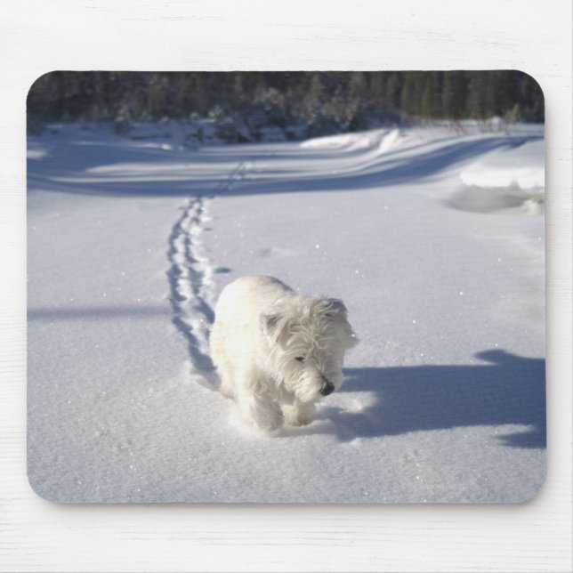 Alberta, Canada Mouse Pad (Front)
