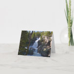 Alberta Falls I Card