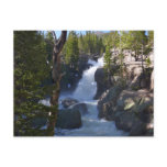 Alberta Falls I Postcard