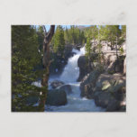 Alberta Falls I Postcard