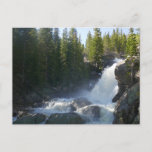 Alberta Falls II Postcard